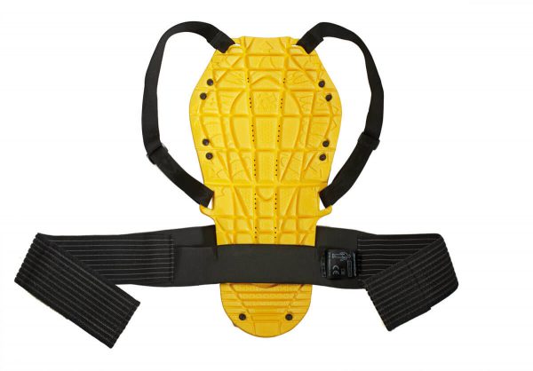 Armor Back Warrior Evo (Ce Level 2) - Bikerr