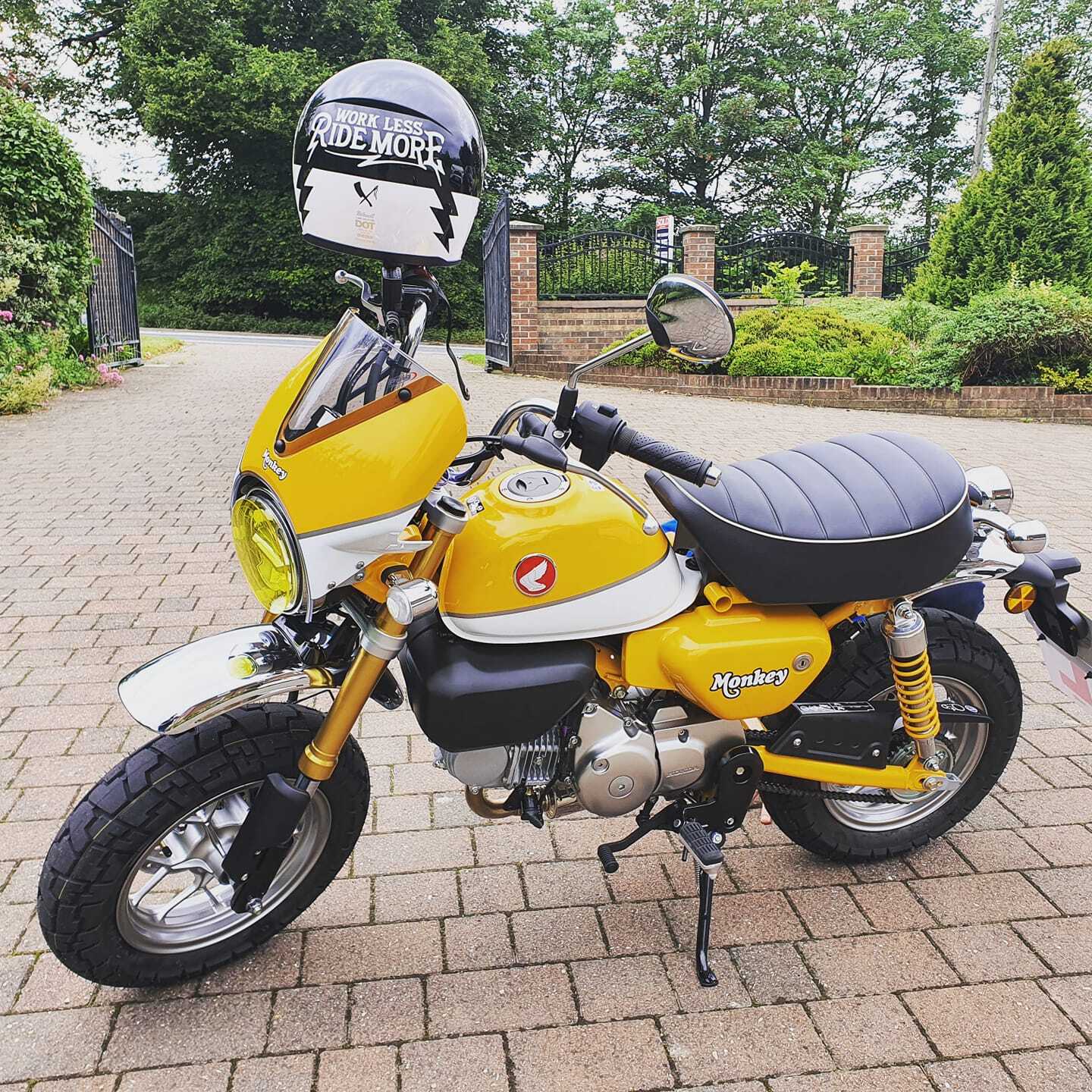 Fly Screen | Banana Yellow/Ross White | Honda Monkey 125 2018>